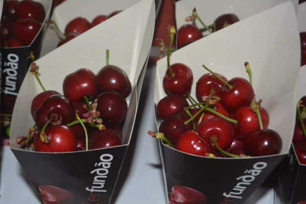 Fundão Cherries