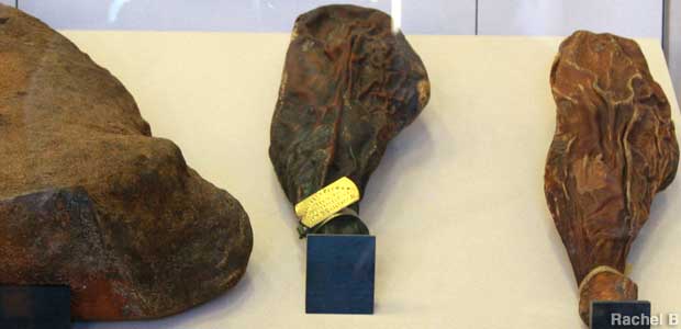 World’s Oldest Edible Ham, Smithfield