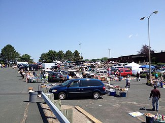 Hamel Lions Flea Market