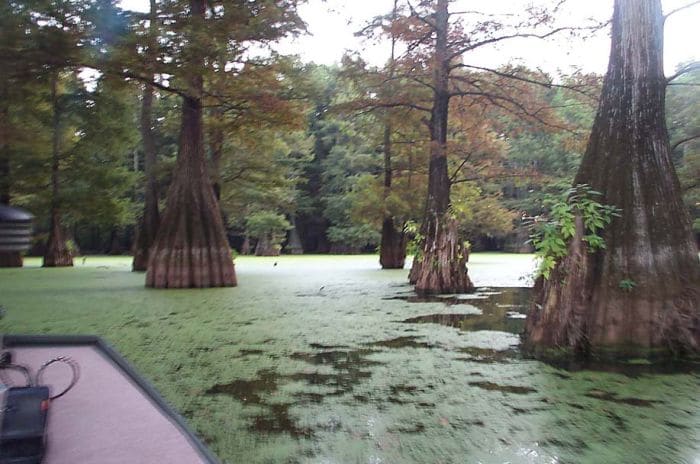 Tunica Lake, Mississippi