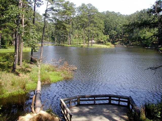 Clear Springs Lake, Mississippi