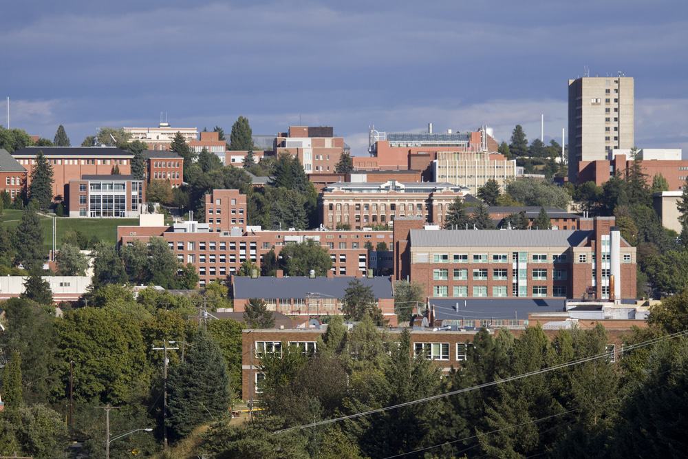 Washington State University in Pullman, Washington