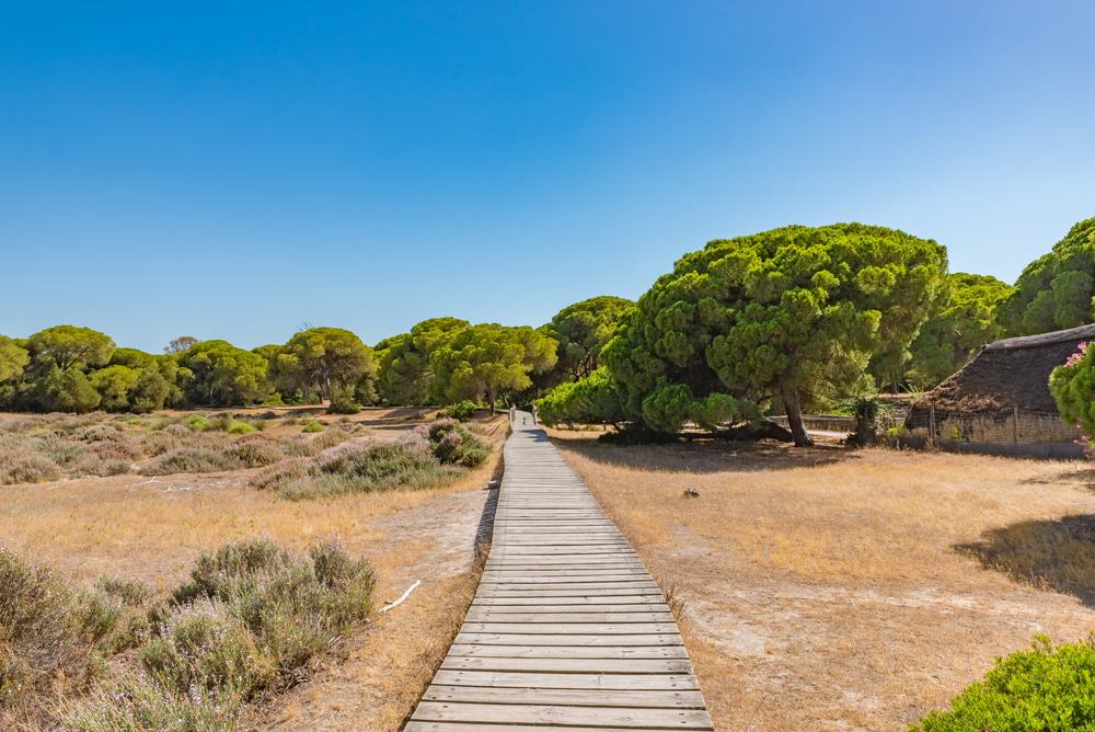 Donana National Park