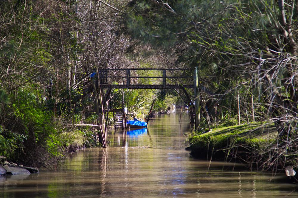 Tigre Delta, Argentina