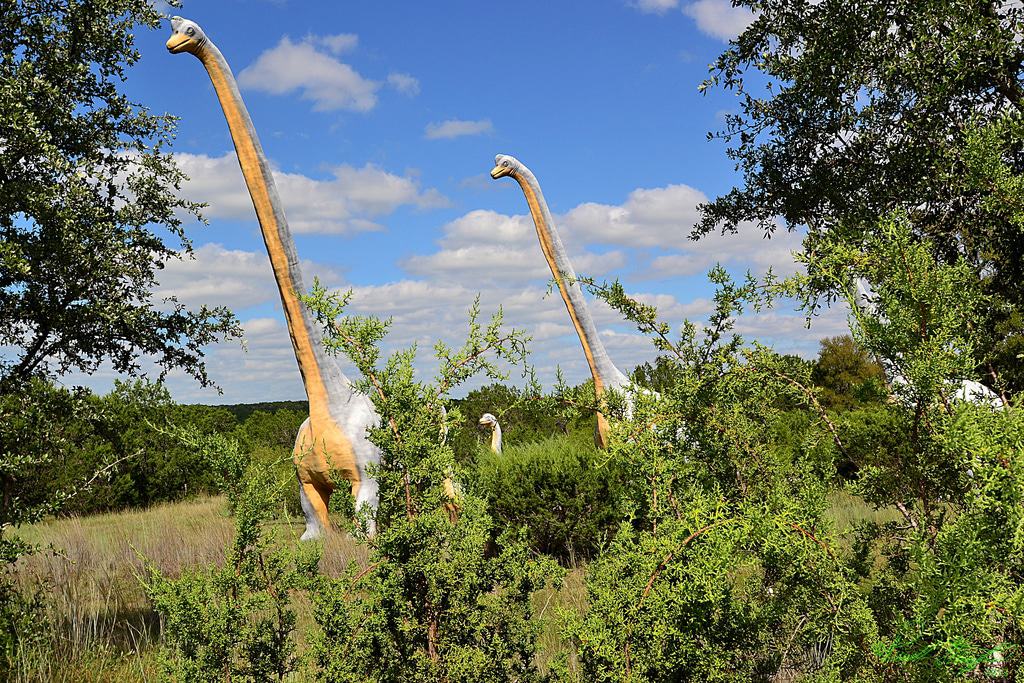 Dinosaur World, Glen Rose