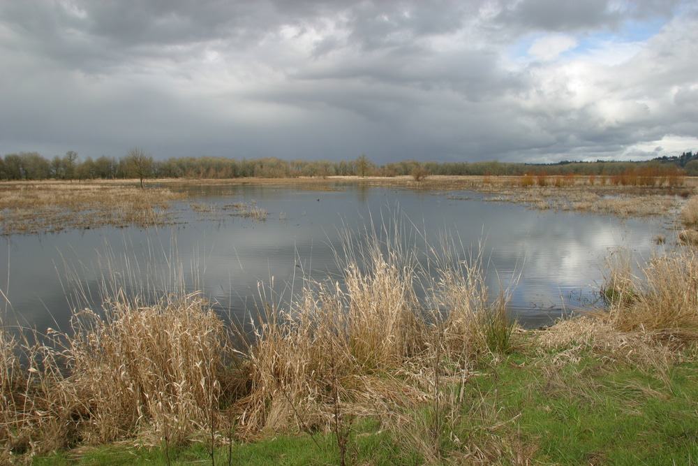 Ridgefield National Wildlife Refuge