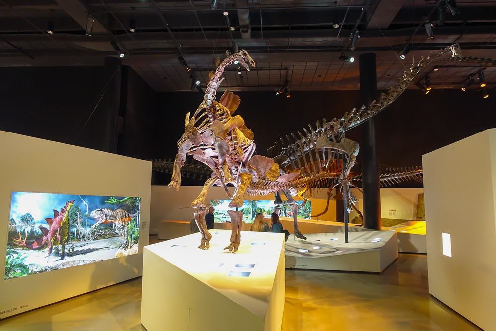 Houston Museum of Natural Science
