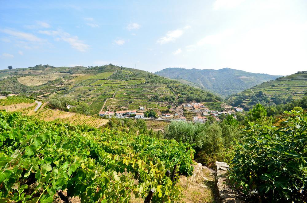 Alto Douro