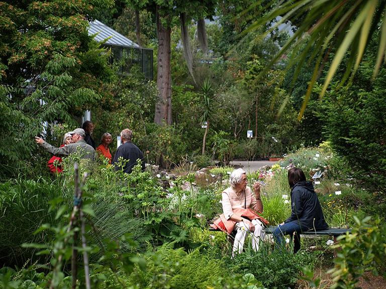 Botanischer Garten