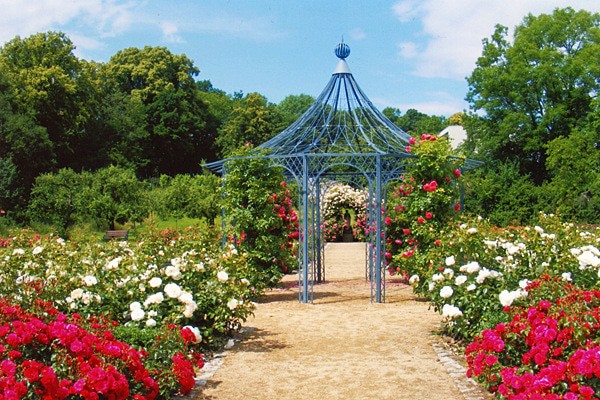Magdalenengarten