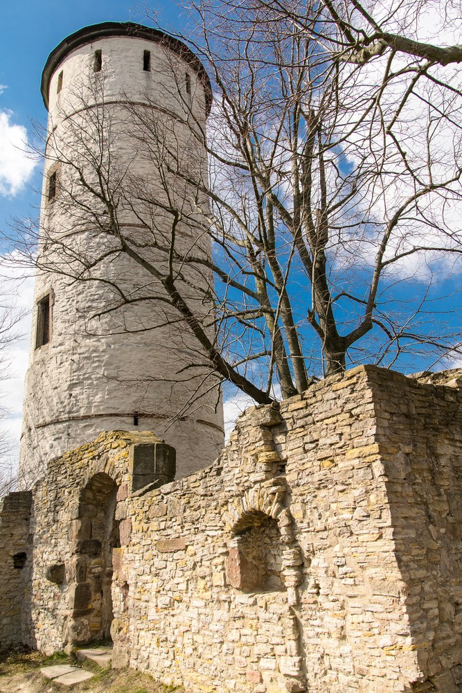 Plesse Castle