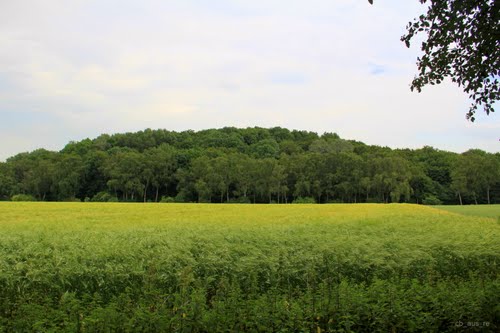 Rodelberg An Der Mollbeck