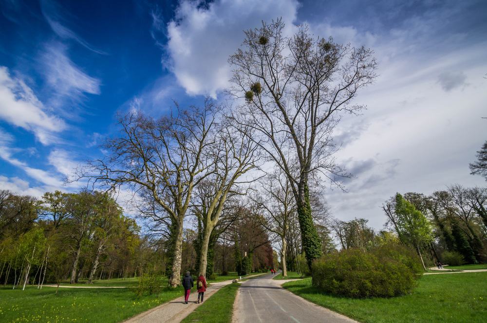 Sanssouci Park