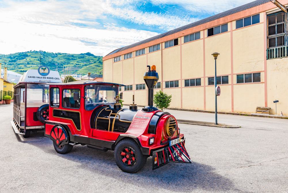 Wine Tours
