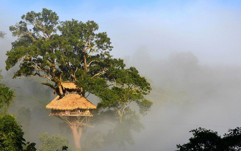 Bokeo Nature Reserve