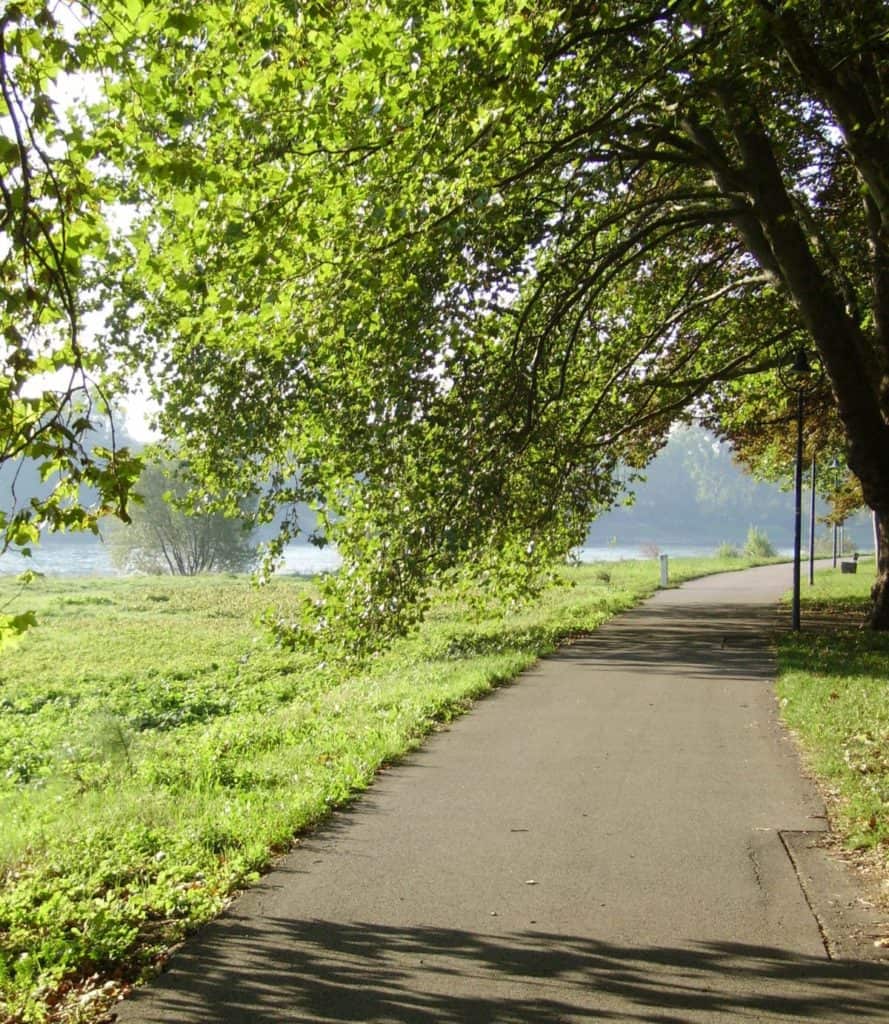Parkinsel
