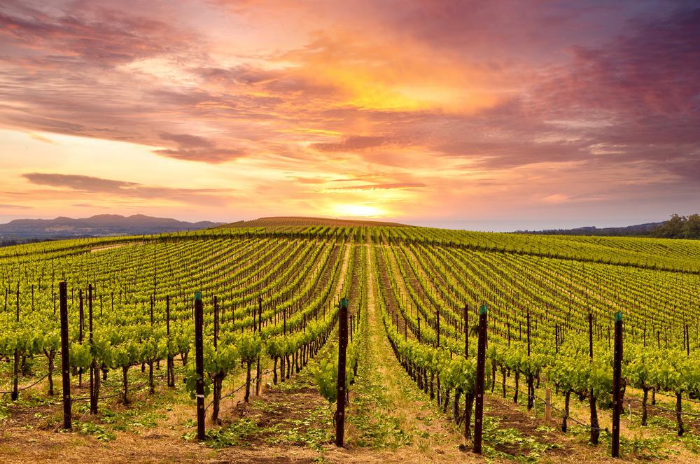 Sonoma Valley, California