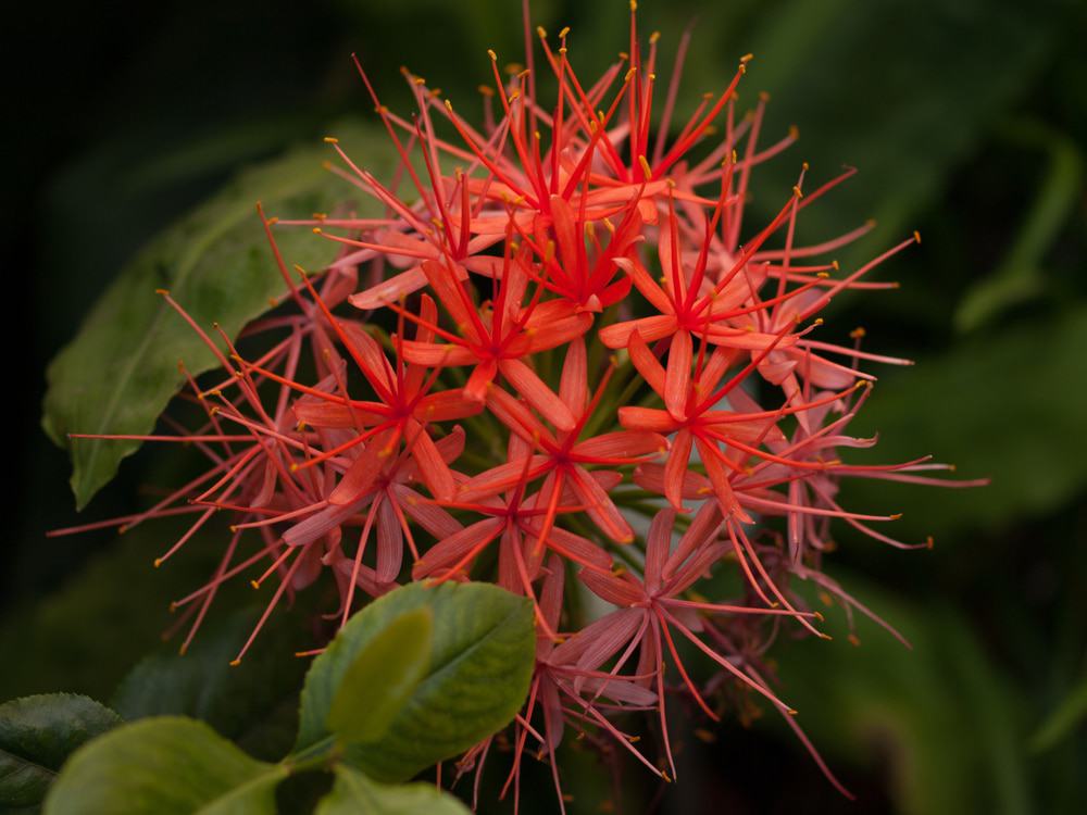 Botanischer Garten