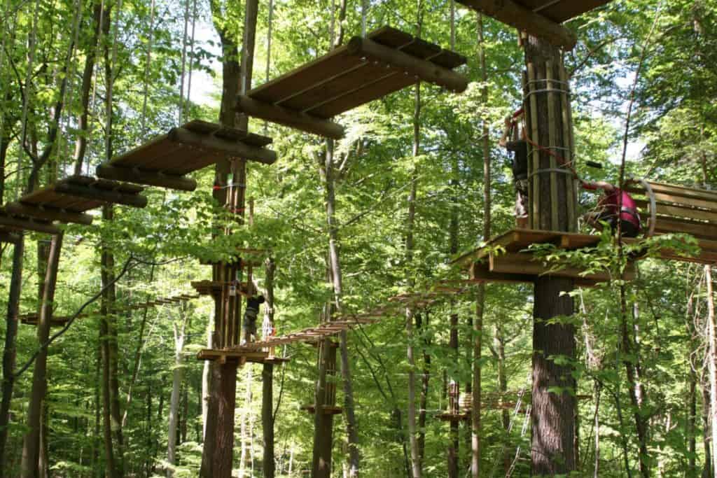 Wald Abenteuer Velbert-Langenberg