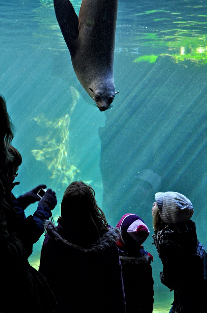 Zoo Am Meer