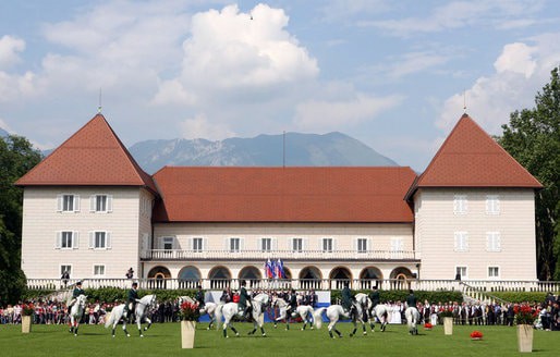 Brdo Castle