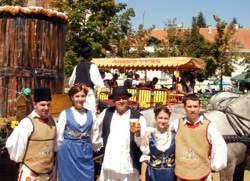 Beer Days Festival, Zrenjanin