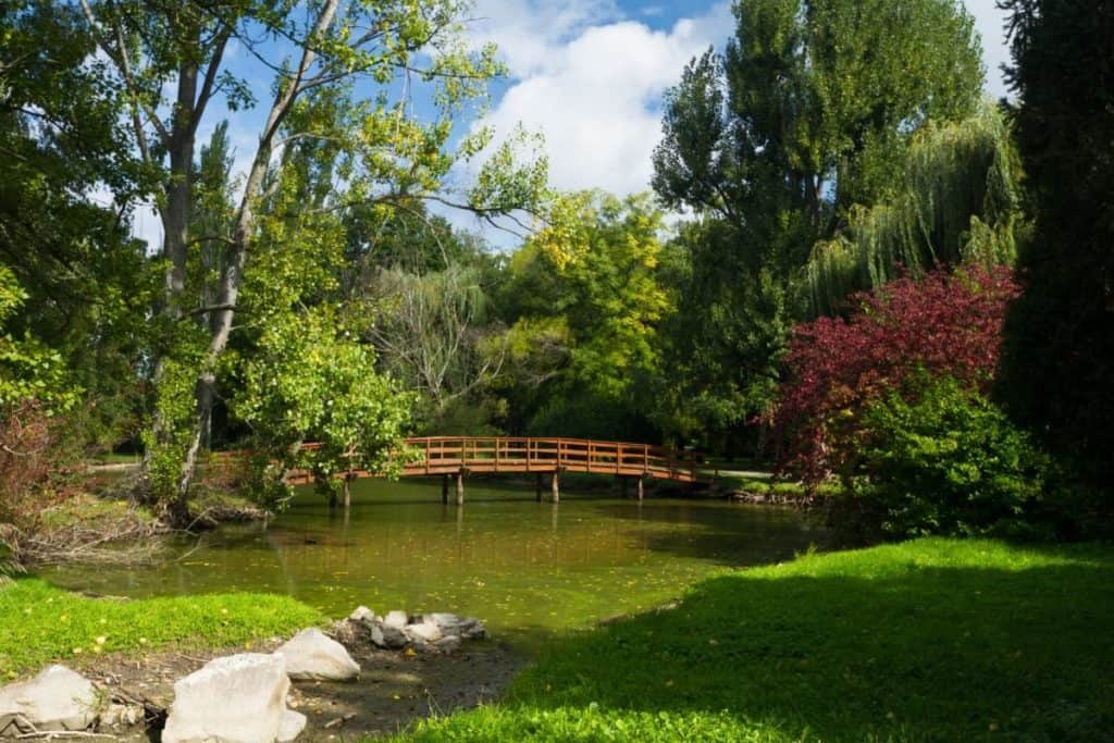 Mestský Park