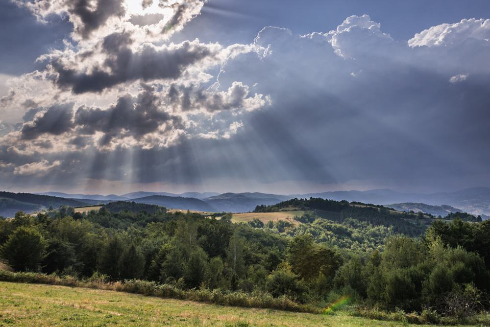 Zlatibor