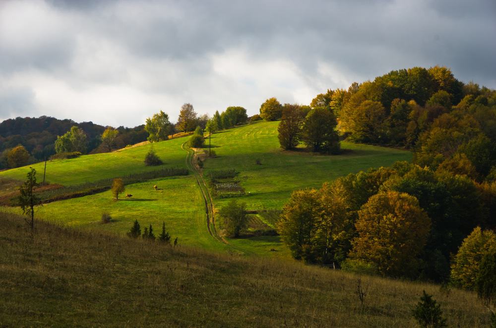 Goč, Serbia