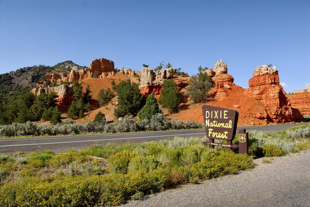 Dixie National Forest