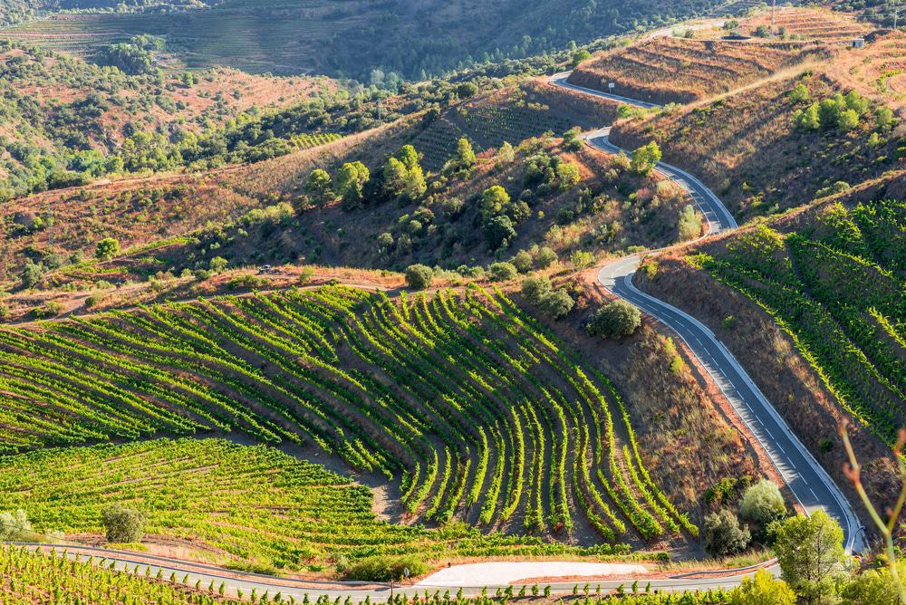 Priorat Region