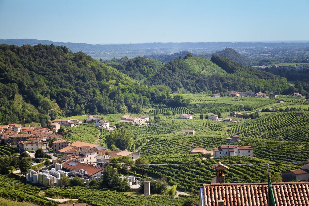 Prosecco Region, Italy