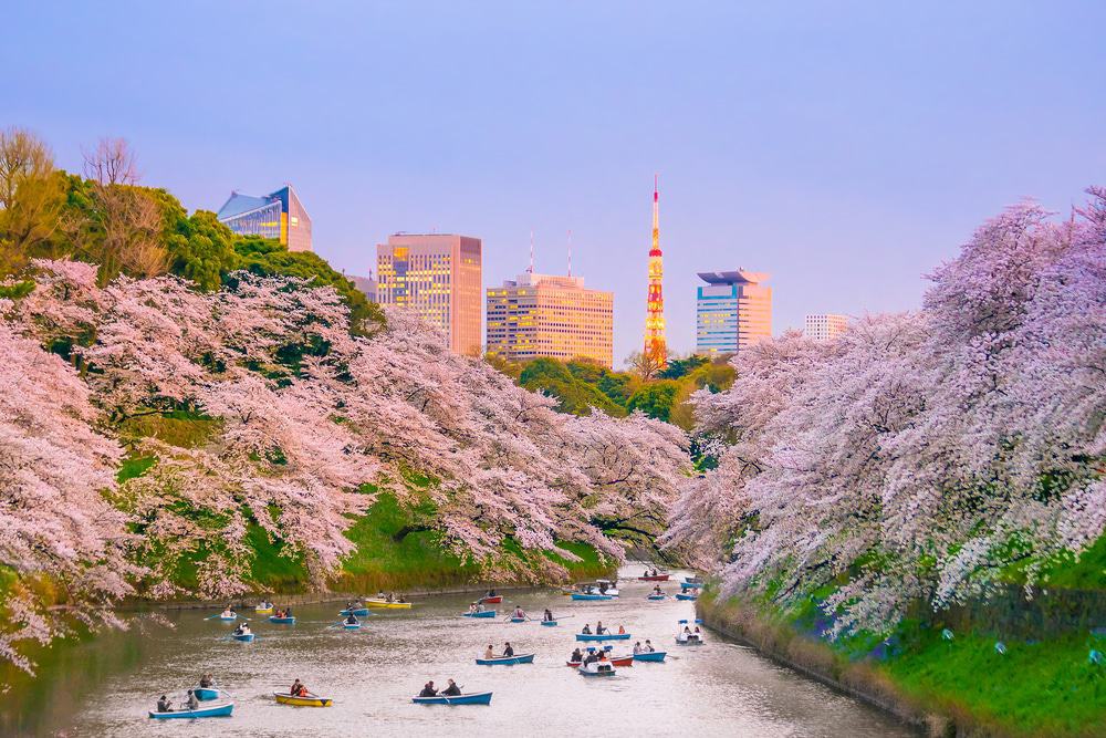 Chidorigafuchi Park, Ueno,Tokyo