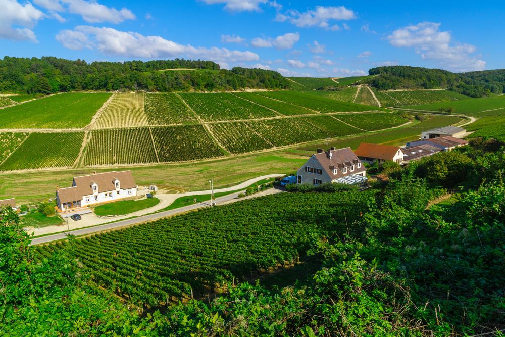 Chablis, Burgundy