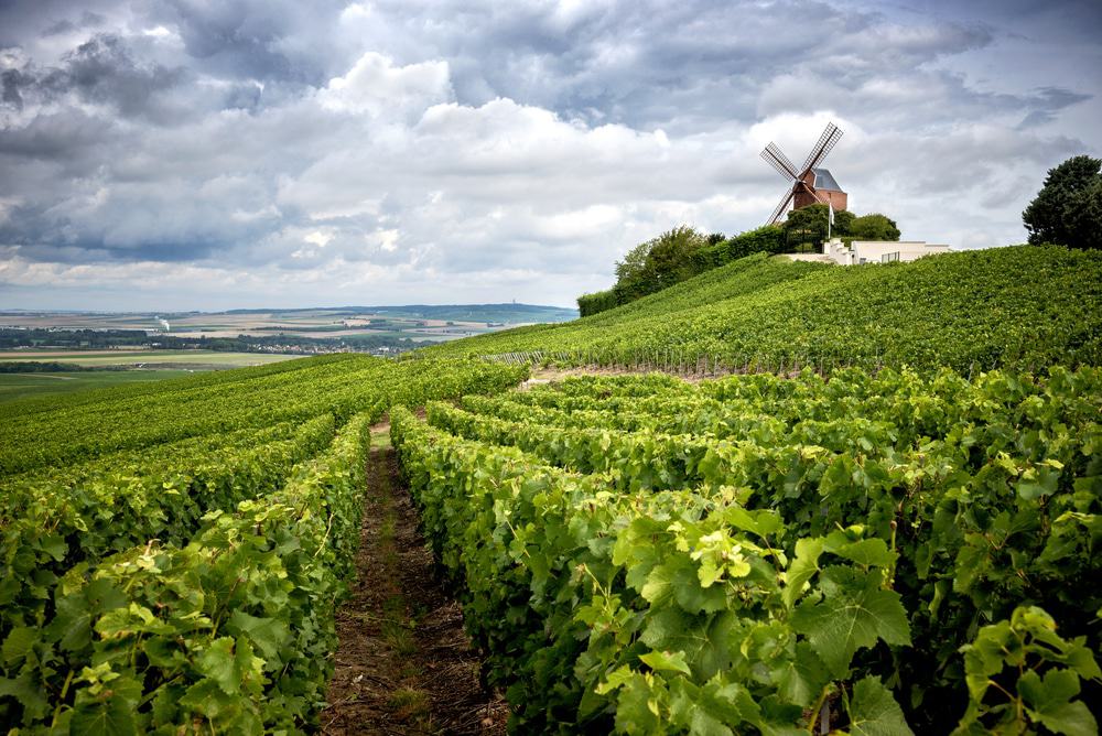 Champagne Region
