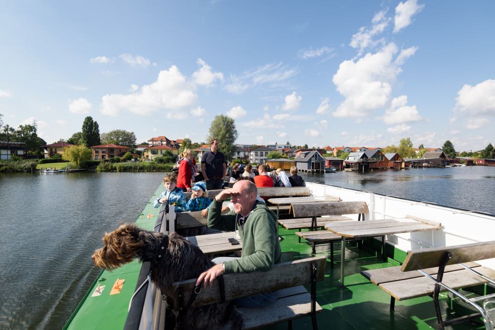 Boat Tours