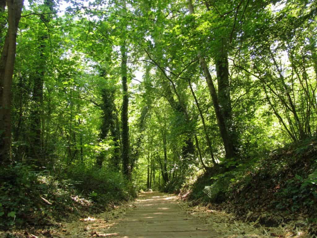 Oak Park Forest Park