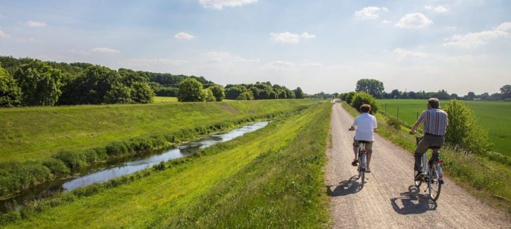 Sesekeweg