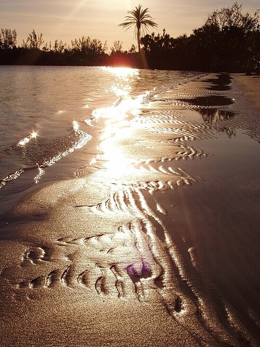 Hobe Sound National Wildlife Refuge