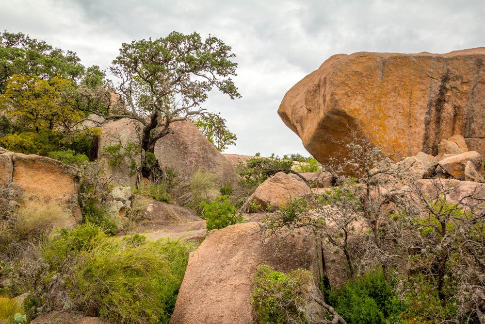 Enchanted Rock State Park