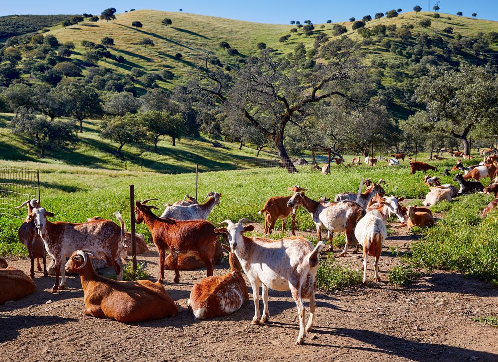 Sierra Norte Natural Park