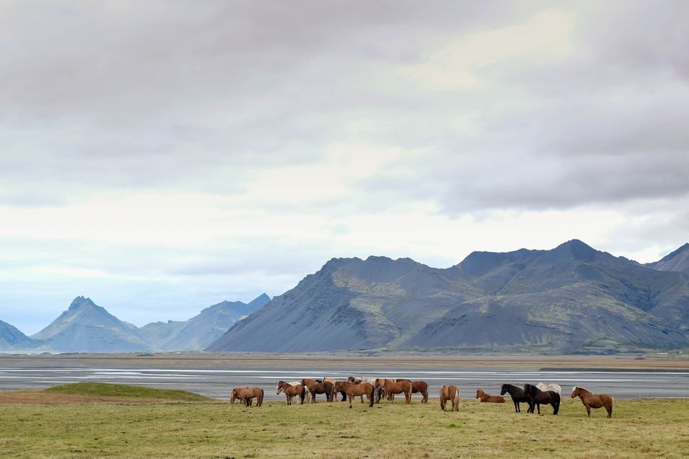 Eastern Iceland