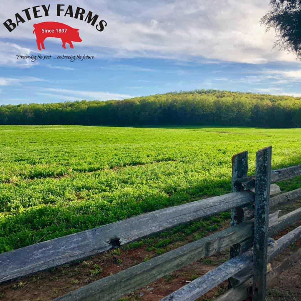 Batey Farms
