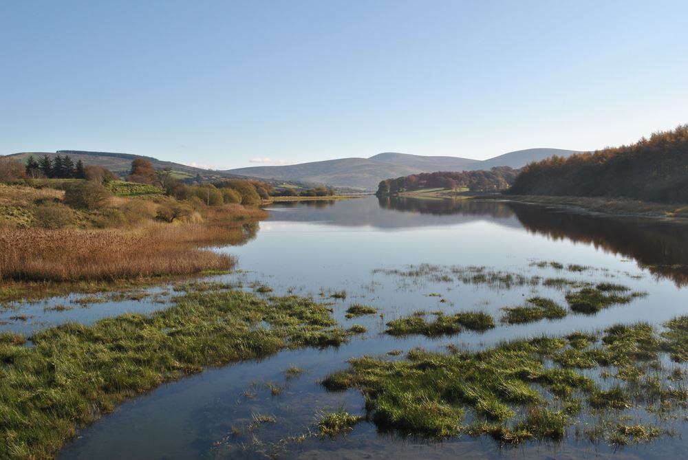 Blessington Lakes