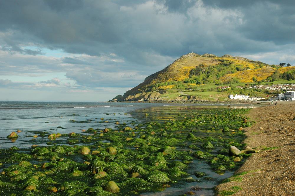 Bray Head