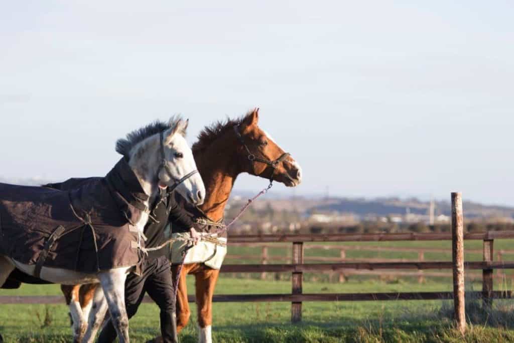 Coolmine Equestrian Centre