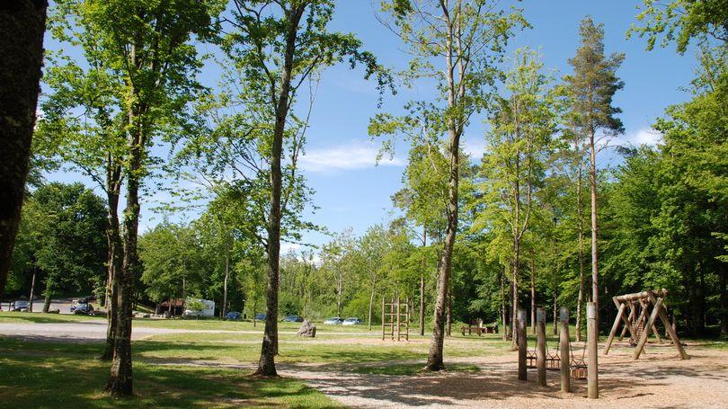 Curraghchase Forest Park