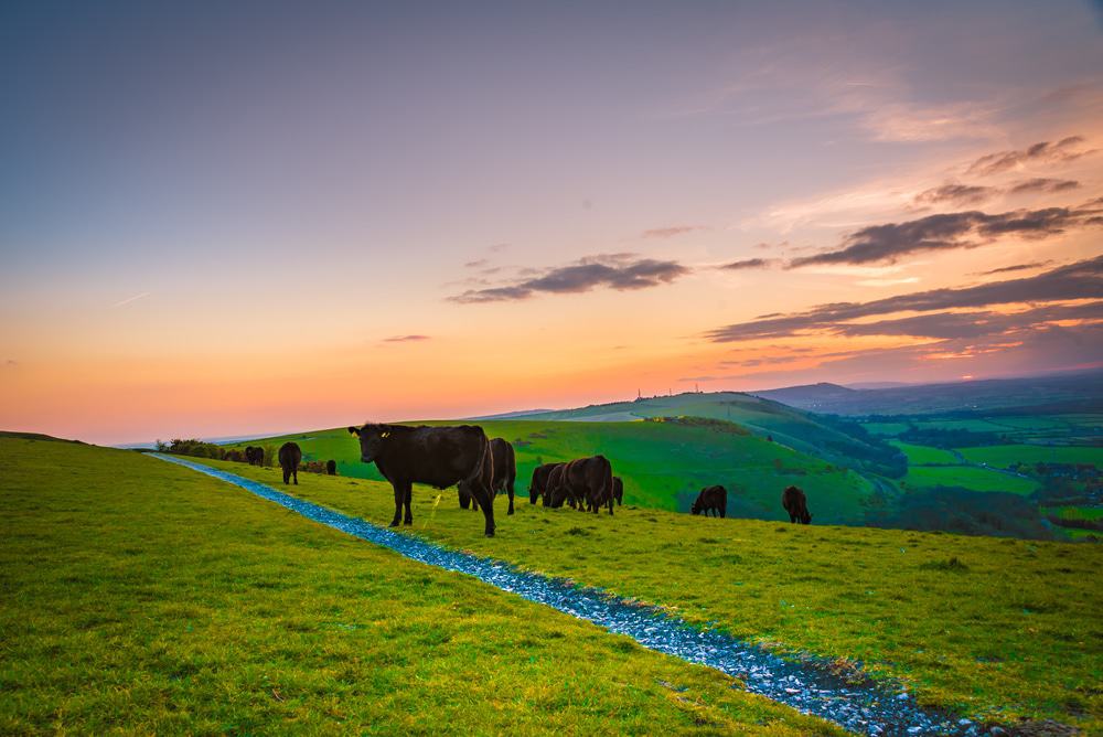 Devil's Dyke