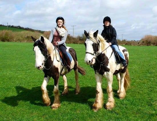 Drumcliffe Equestrian