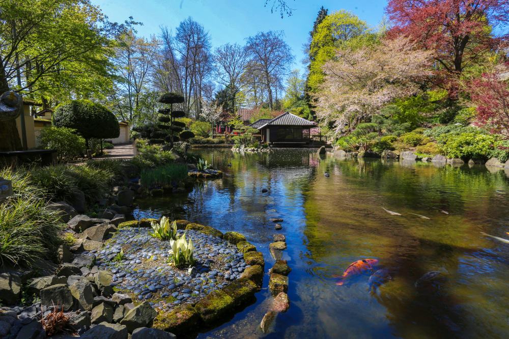 Japanischer Garten